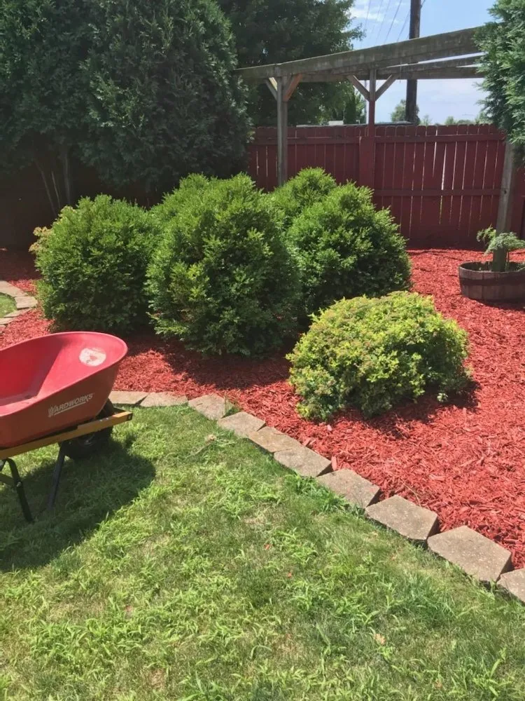 Top-rated landscaping services near you in Iowa City, IA by Best Lawn Care