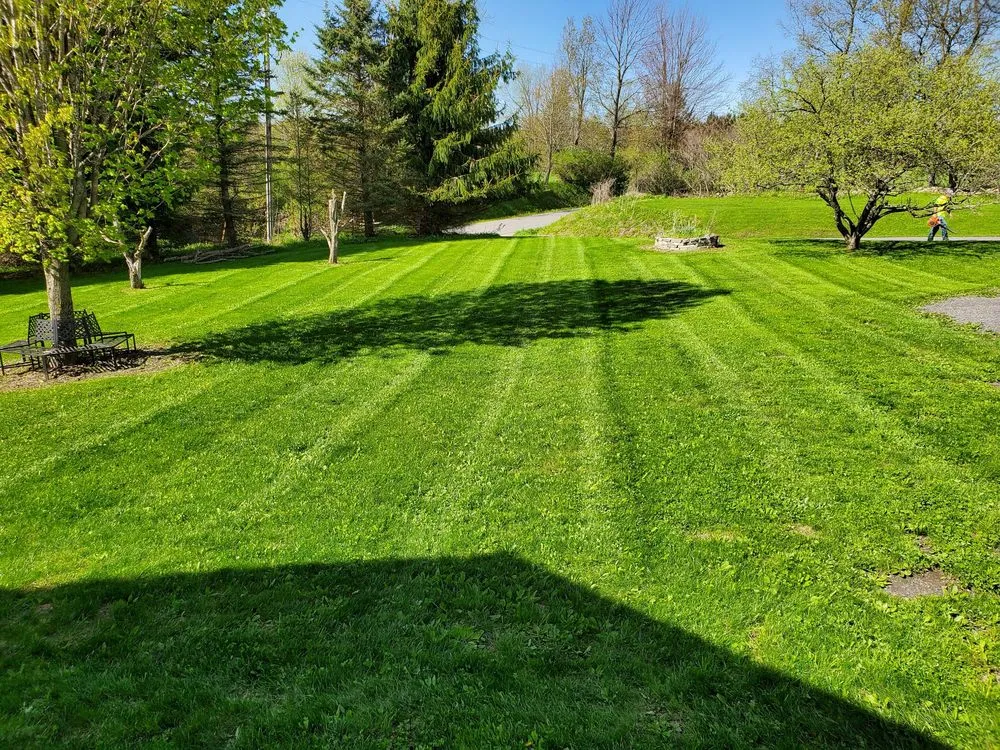 Expert residential landscaping experts serving Newport, NY - Best Lawn Care