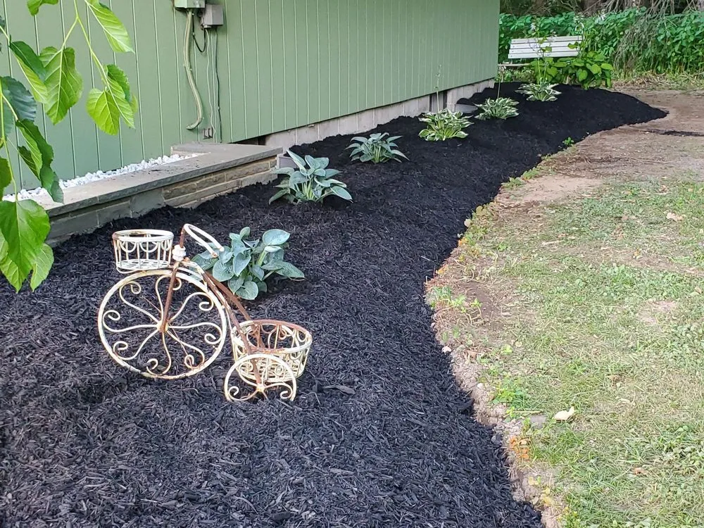 Local yard cleanup service experts serving Newport, NY - Best Lawn Care