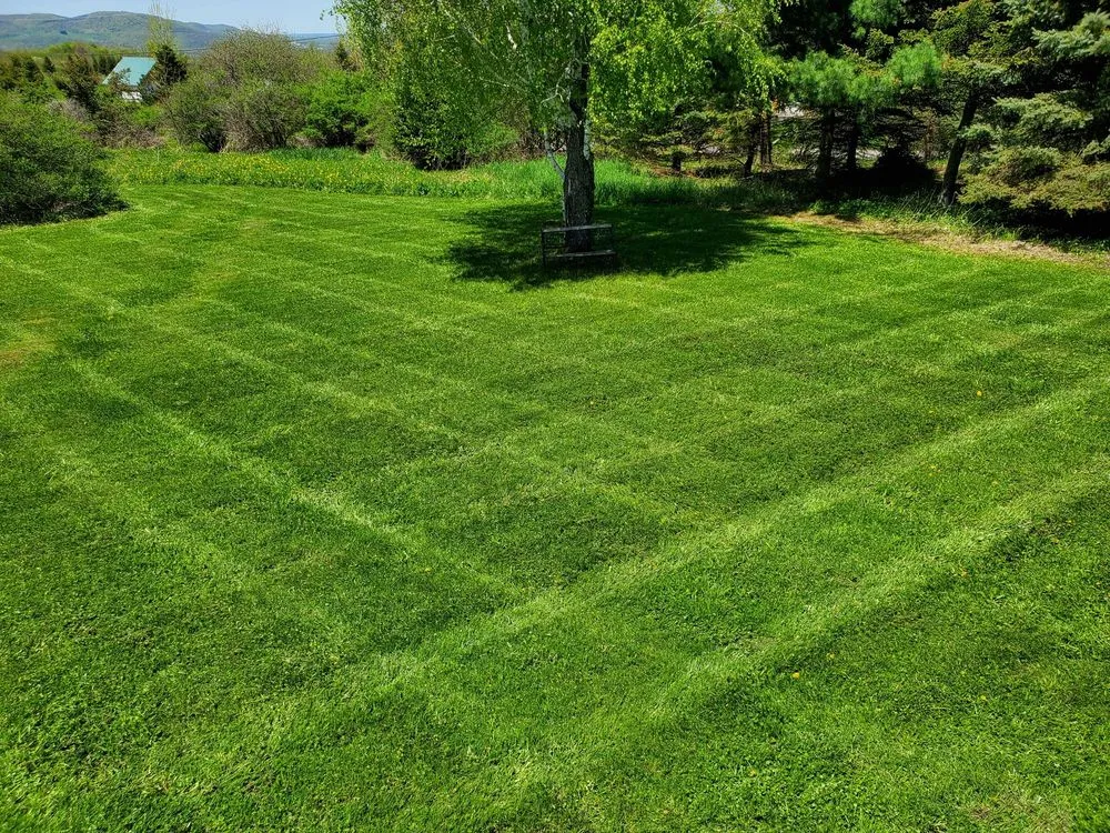 Affordable lawn mowing service in Newport, NY - Best Lawn Care