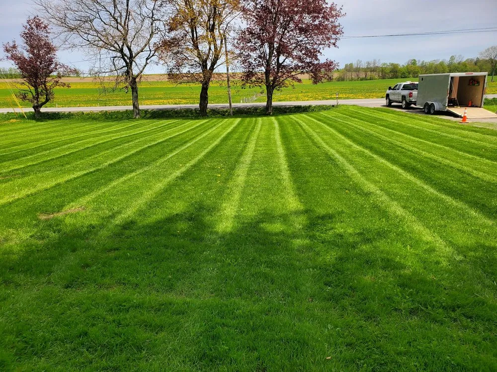 Professional landscape design experts serving Newport, NY - Best Lawn Care