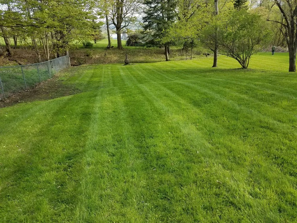 Top-rated residential landscaping in Newport, NY by Best Lawn Care