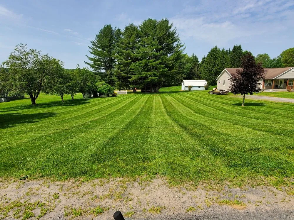 Local landscape design for year-round maintenance across Newport, NY - Best Lawn Care