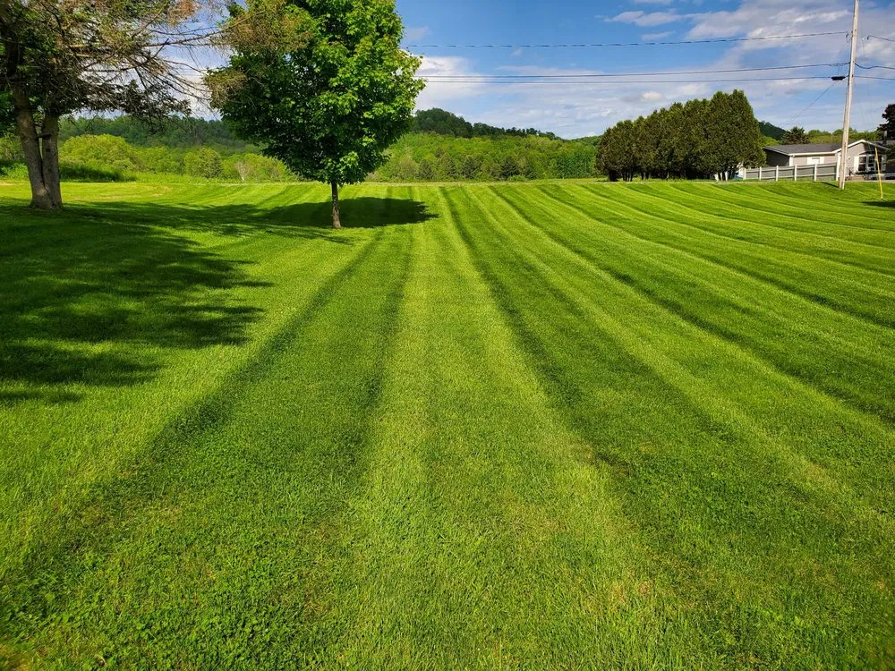 Local landscape installation in Newport, NY - Best Lawn Care