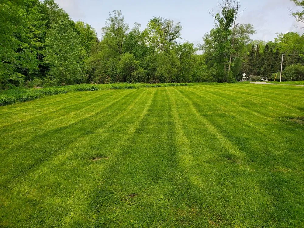 Expert lawn mowing service in Newport, NY - Best Lawn Care