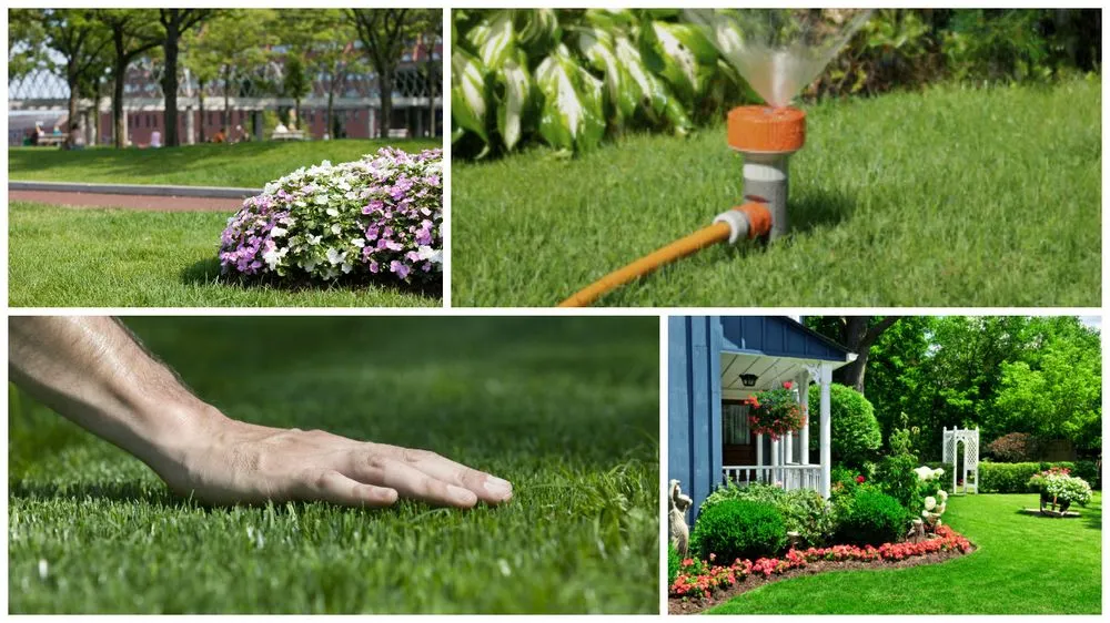 Local landscape design in Ruston, LA by Best Lawn Care