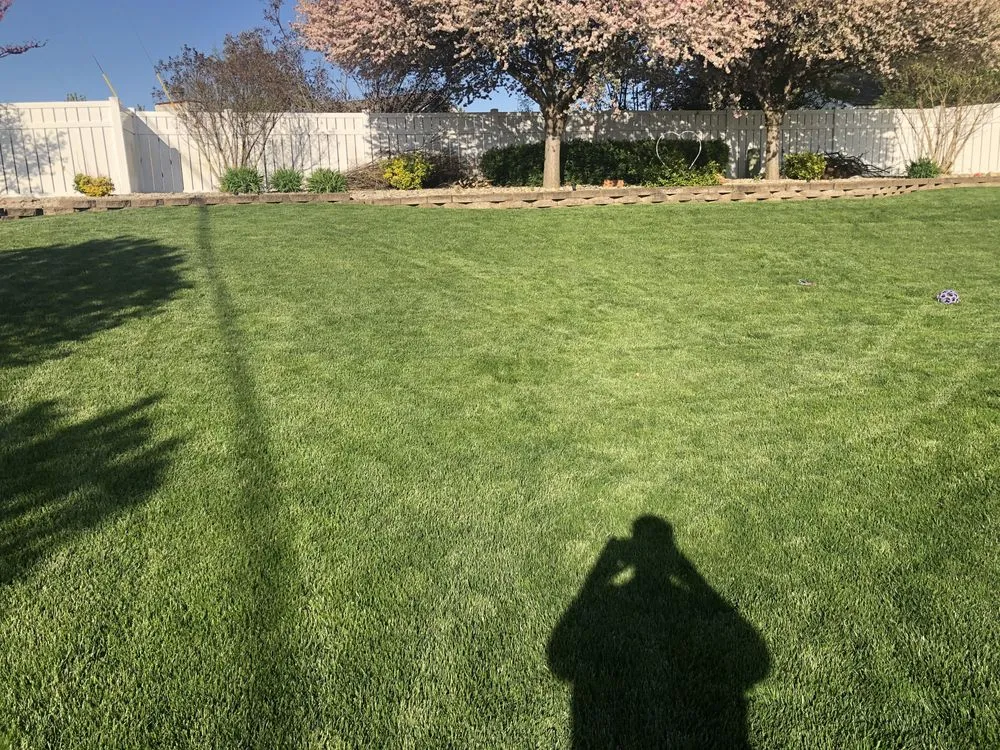 Professional yard cleanup service experts serving Wentzville, MO - Best Lawn Care