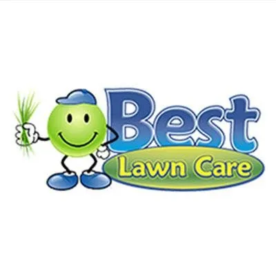 Expert yard cleanup service in Wentzville, MO by Best Lawn Care