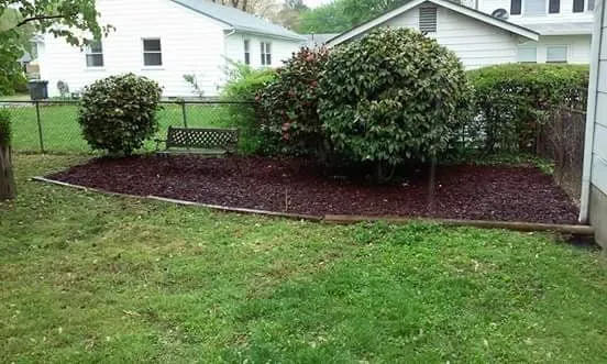 Top-rated yard cleanup service in Yorktown, VA by Best Lawn Care