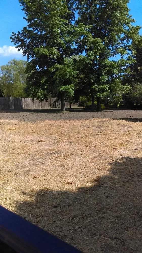 Professional landscape installation for homes in Yorktown, VA by Best Lawn Care