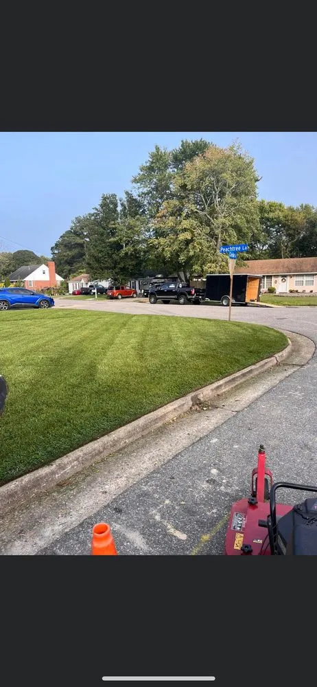 Trusted landscape installation for year-round maintenance in Hampton, VA by Best Lawn Maintenance