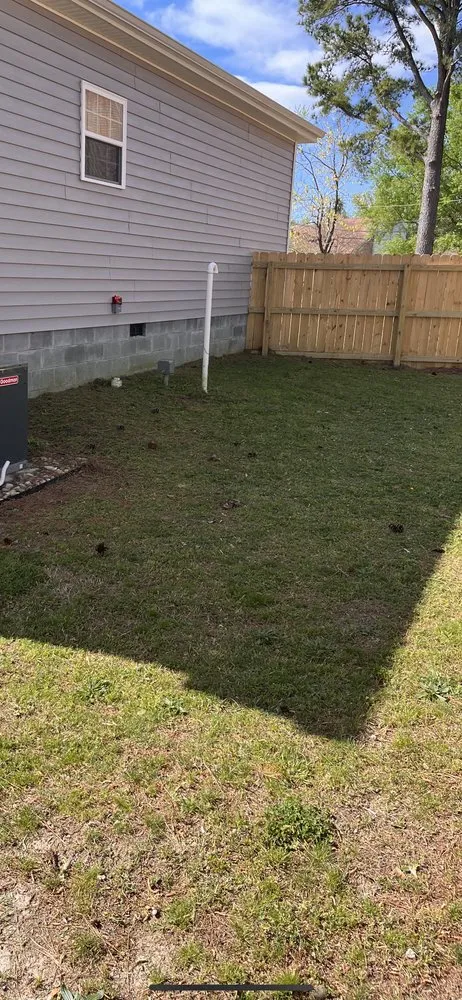 Expert lawn care service for year-round maintenance across Hampton, VA - Best Lawn Maintenance