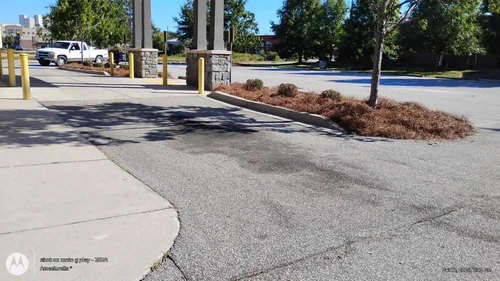 Trusted landscape installation for homes in Florence, SC by Best Lawn Service & Pressure Washing