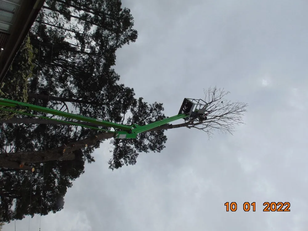 Professional lawn care service in Florence, SC by Best Lawn Service & Pressure Washing