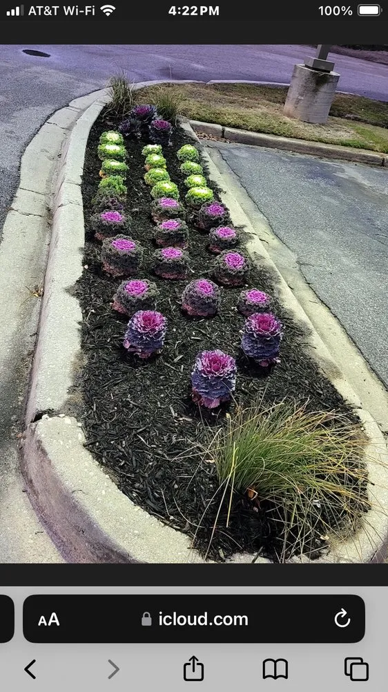 Expert outdoor landscaping in Florence, SC by Best Lawn Service & Pressure Washing