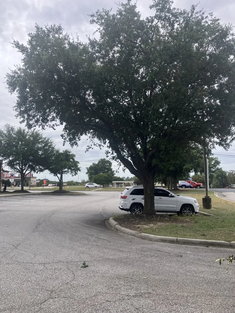 Expert lawn care service in Florence, SC - Best Lawn Service & Pressure Washing