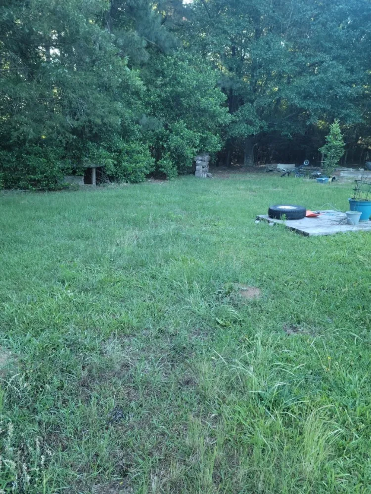 Trusted yard cleanup service with custom design across Aiken, SC - Best Lawncare and Handyman Service