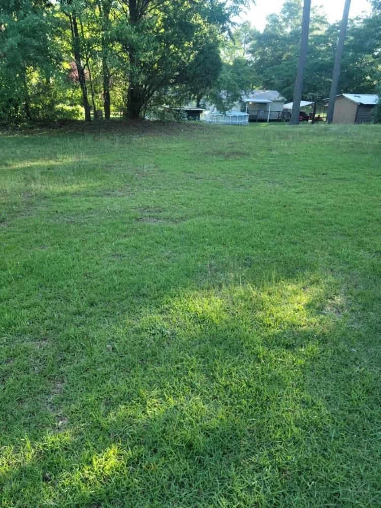 Professional landscaping services experts serving Aiken, SC - Best Lawncare and Handyman Service