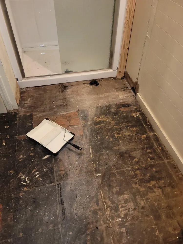 Custom yard cleanup service in Aiken, SC by Best Lawncare and Handyman Service