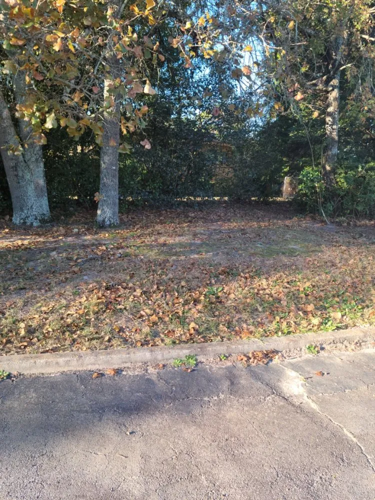 Affordable residential landscaping with custom design in Aiken, SC by Best Lawncare and Handyman Service