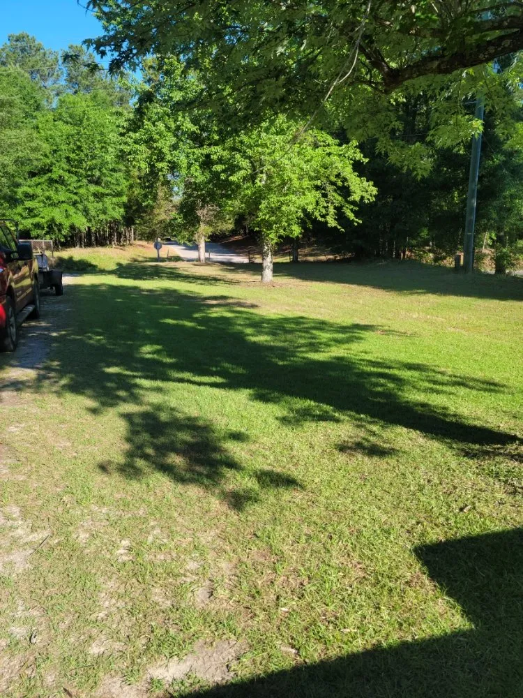 Professional yard cleanup service in Aiken, SC - Best Lawncare and Handyman Service