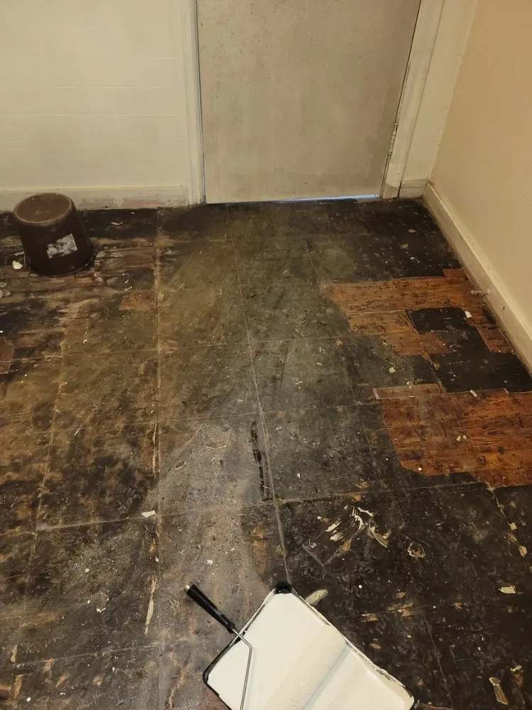 Reliable landscape installation in Aiken, SC by Best Lawncare and Handyman Service