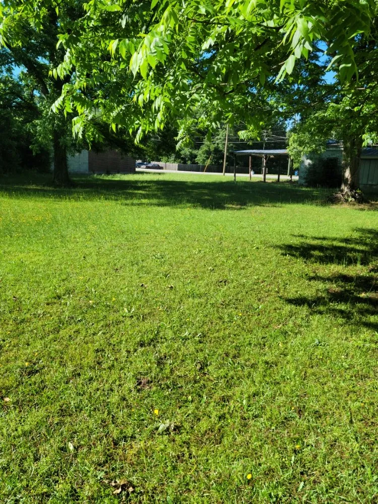 Professional residential landscaping experts serving Aiken, SC - Best Lawncare and Handyman Service