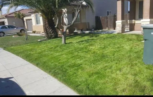 Reliable yard cleanup service in Bakersfield, CA - Best lawns