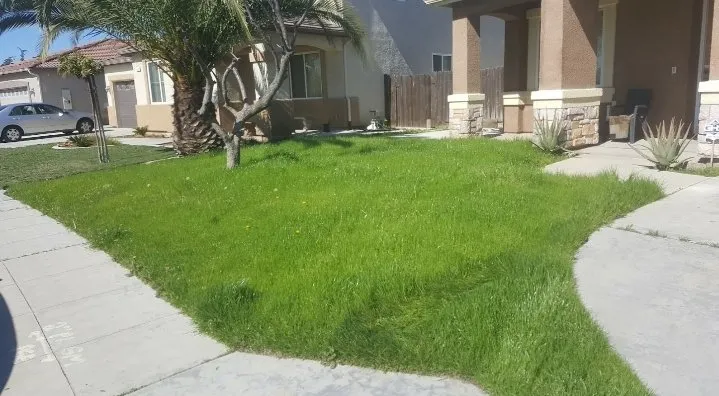 Reliable landscape installation with custom design in Bakersfield, CA by Best lawns