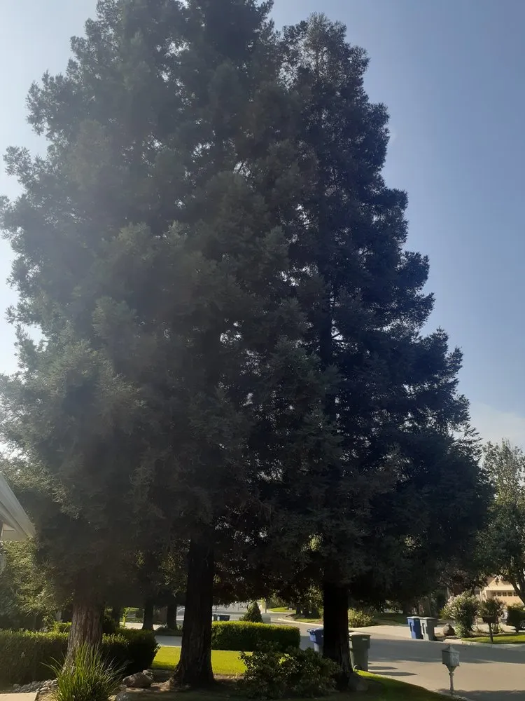 Custom garden landscaping experts serving Bakersfield, CA - Best lawns