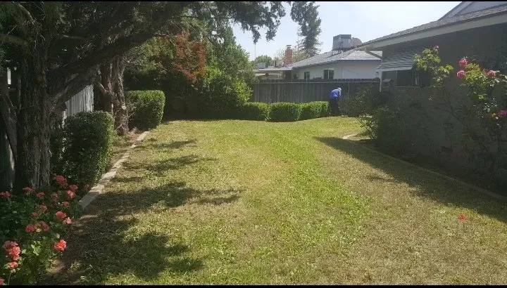 Trusted landscape design experts serving Bakersfield, CA - Best lawns