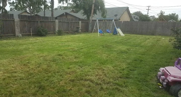 Affordable garden landscaping for beautiful yards in Bakersfield, CA by Best lawns