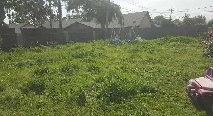 Affordable landscape installation in Bakersfield, CA by Best lawns