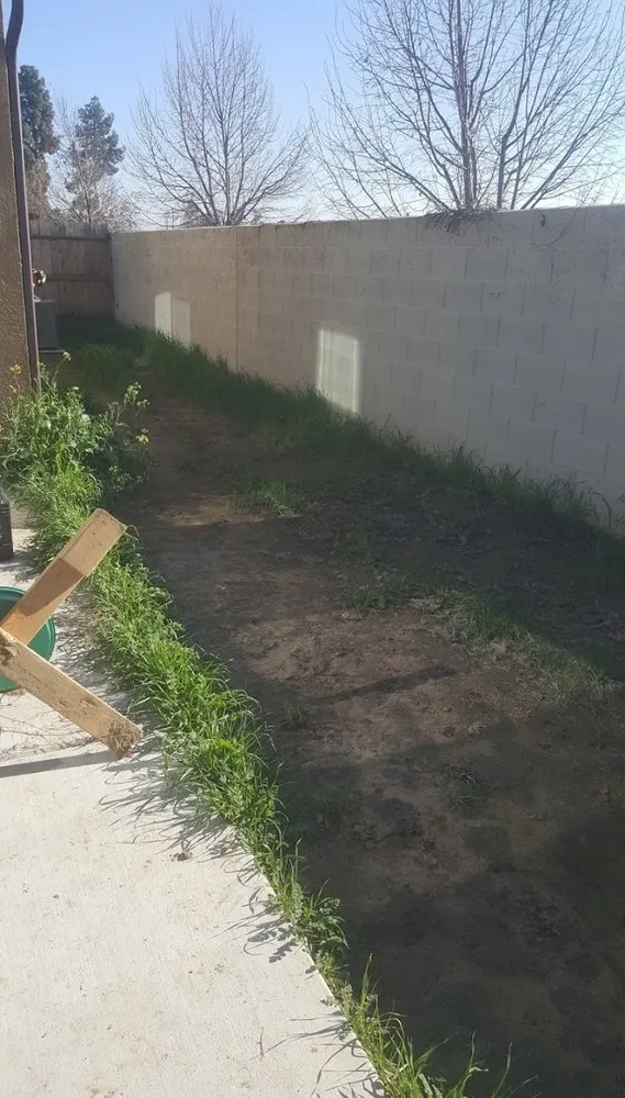 Local yard maintenance in Bakersfield, CA by Best lawns