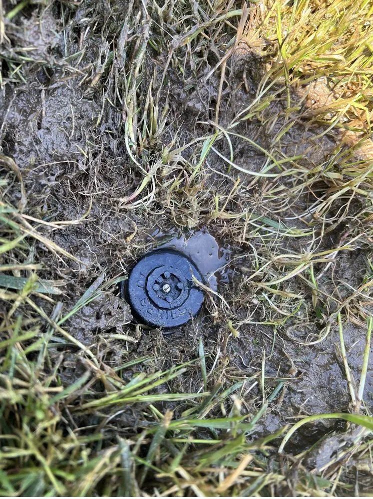 Reliable landscape design in Irvine, CA - Best Local Remodeling