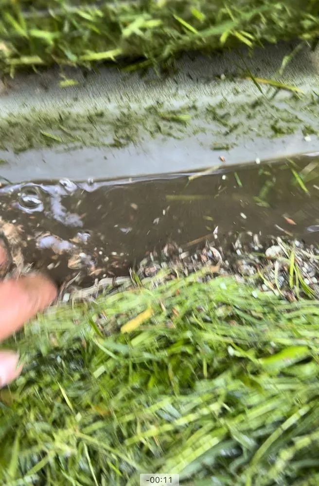 Expert outdoor landscaping for beautiful yards in Irvine, CA by Best Local Remodeling