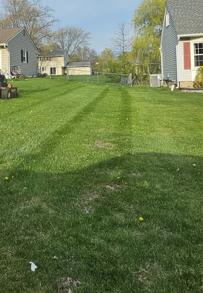 Expert yard maintenance for homes across Bound Brook, NJ - Best Maintenance Landscaping