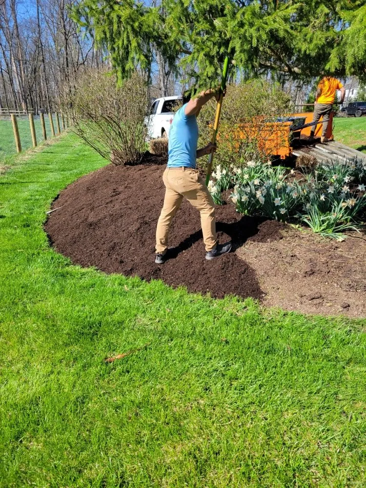 Expert lawn care service for beautiful yards in Bound Brook, NJ by Best Maintenance Landscaping
