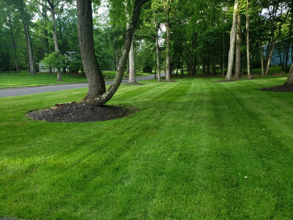 Custom yard cleanup service experts serving Bound Brook, NJ - Best Maintenance Landscaping
