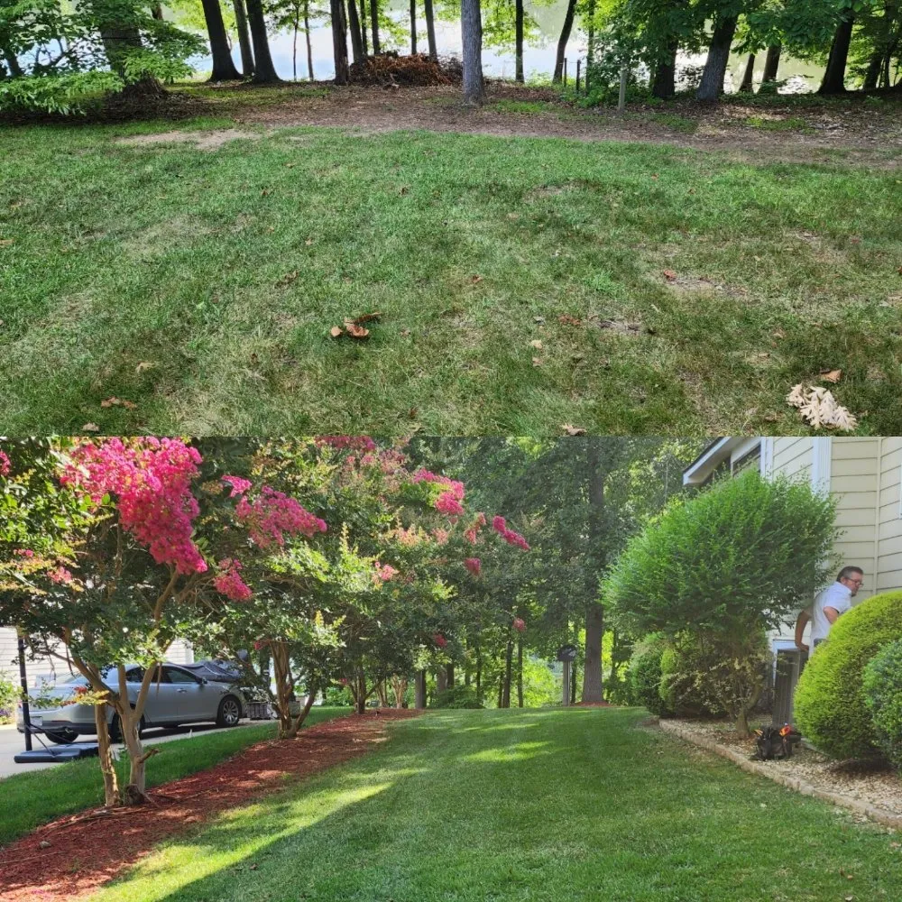 Affordable yard maintenance in Clayton, NC - Best Natural Haven