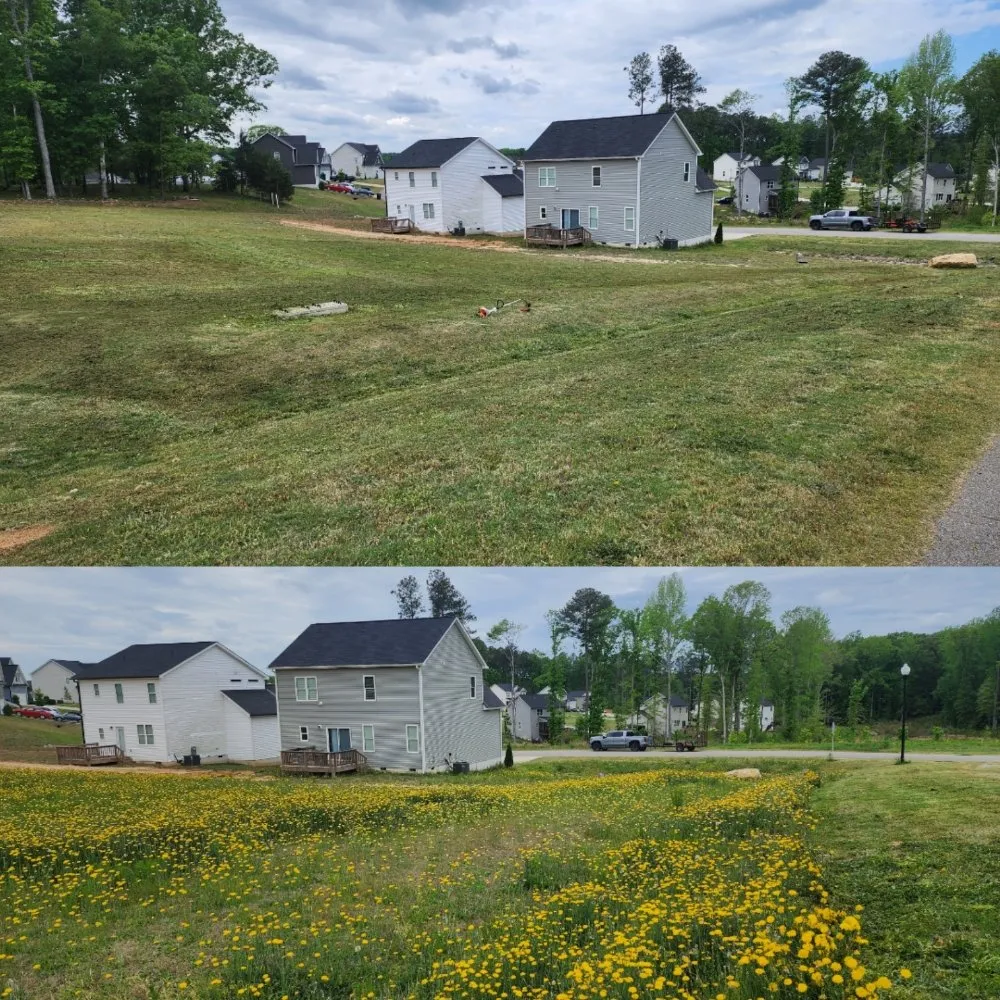 Professional residential landscaping experts serving Clayton, NC - Best Natural Haven