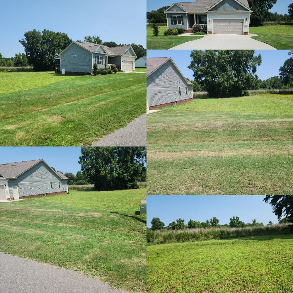 Professional yard maintenance experts serving Clayton, NC - Best Natural Haven