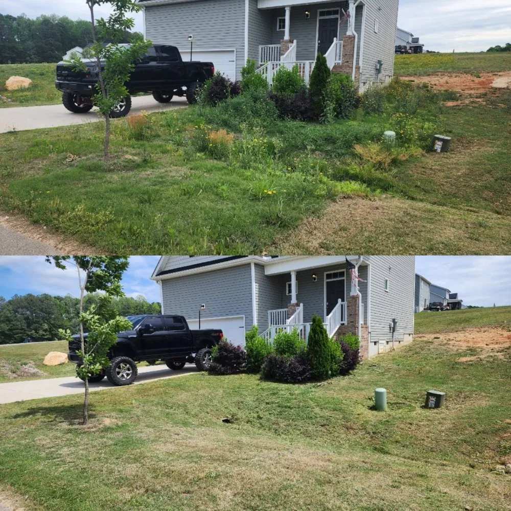 Affordable landscaping services experts serving Clayton, NC - Best Natural Haven