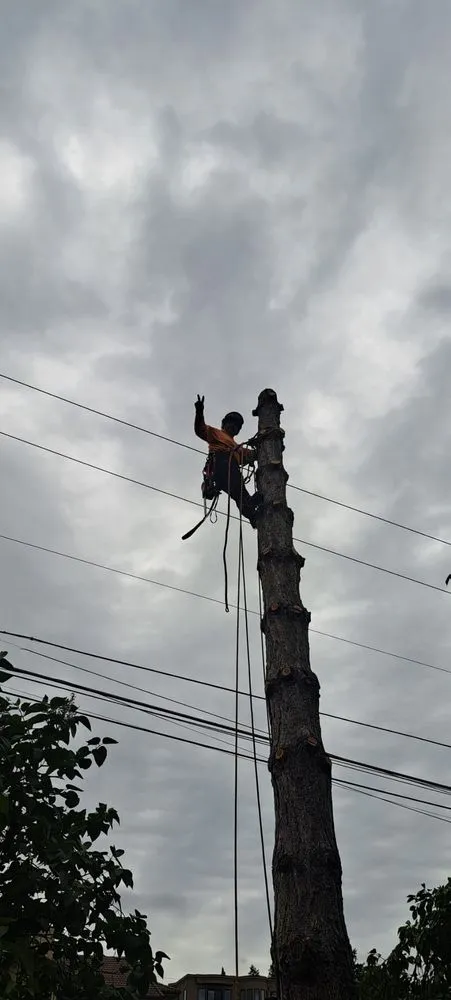 Trusted garden landscaping with custom design across Lakewood, WA - Best Northwestern Landscape