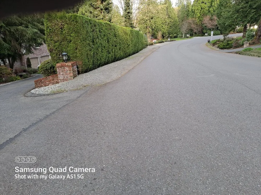 Custom residential landscaping for beautiful yards in Lakewood, WA by Best Northwestern Landscape