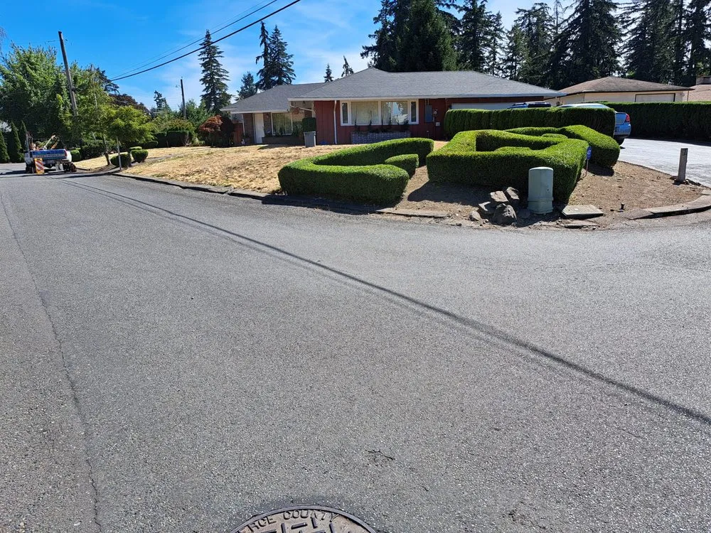 Reliable landscape installation for outdoor upgrades in Lakewood, WA by Best Northwestern Landscape