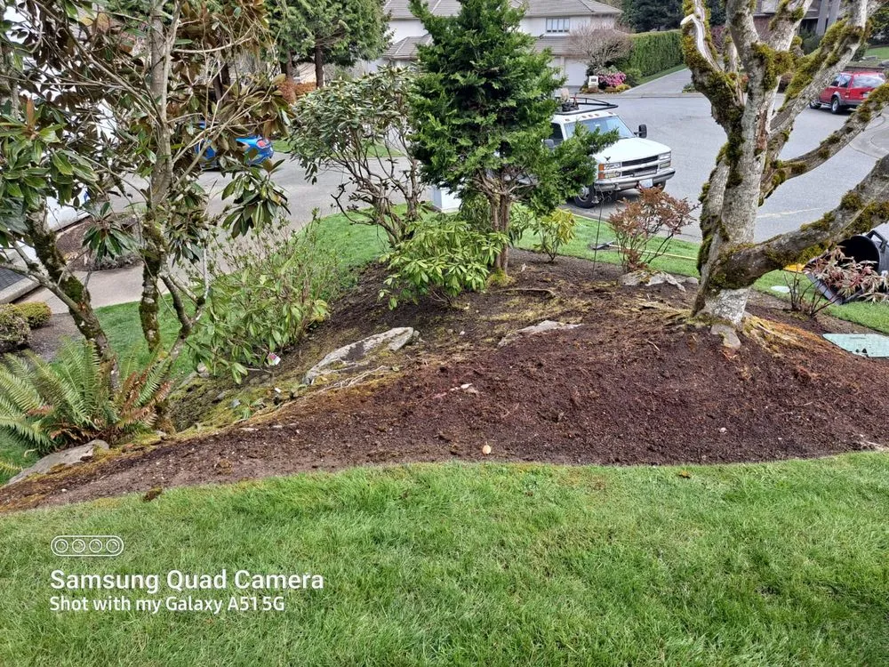 Affordable outdoor landscaping in Lakewood, WA - Best Northwestern Landscape