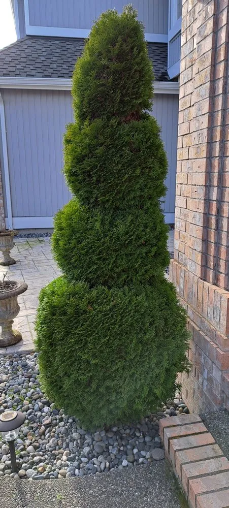 Top-rated yard maintenance in Lakewood, WA by Best Northwestern Landscape