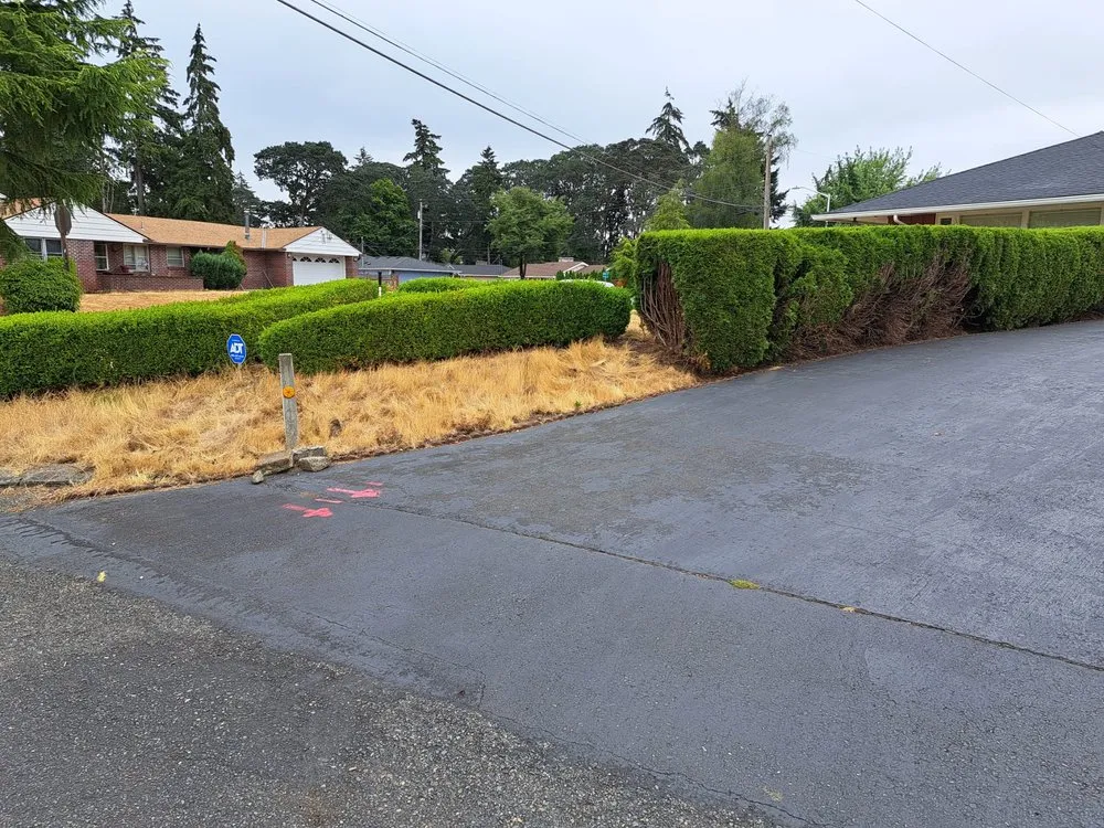 Trusted yard cleanup service experts serving Lakewood, WA - Best Northwestern Landscape