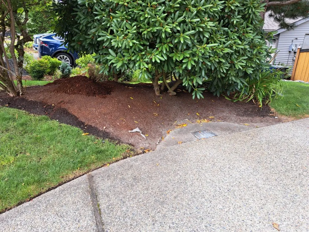 Custom outdoor landscaping in Lakewood, WA by Best Northwestern Landscape